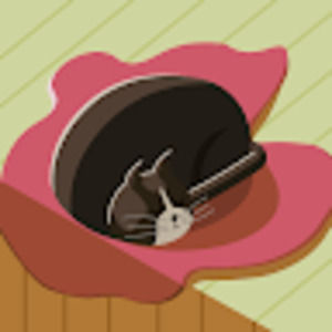 Meet your Posher, Rheya